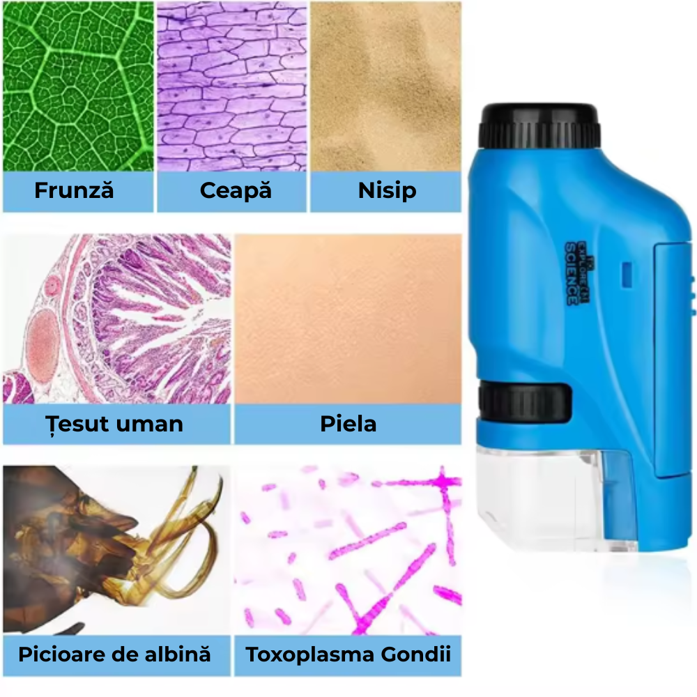 Microscop de Buzunar Albastru